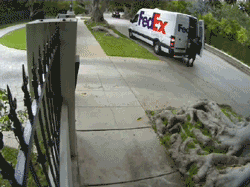 special-delivery-1.gif