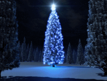 [Image: christmas-tree-light-house1.gif?w=450]